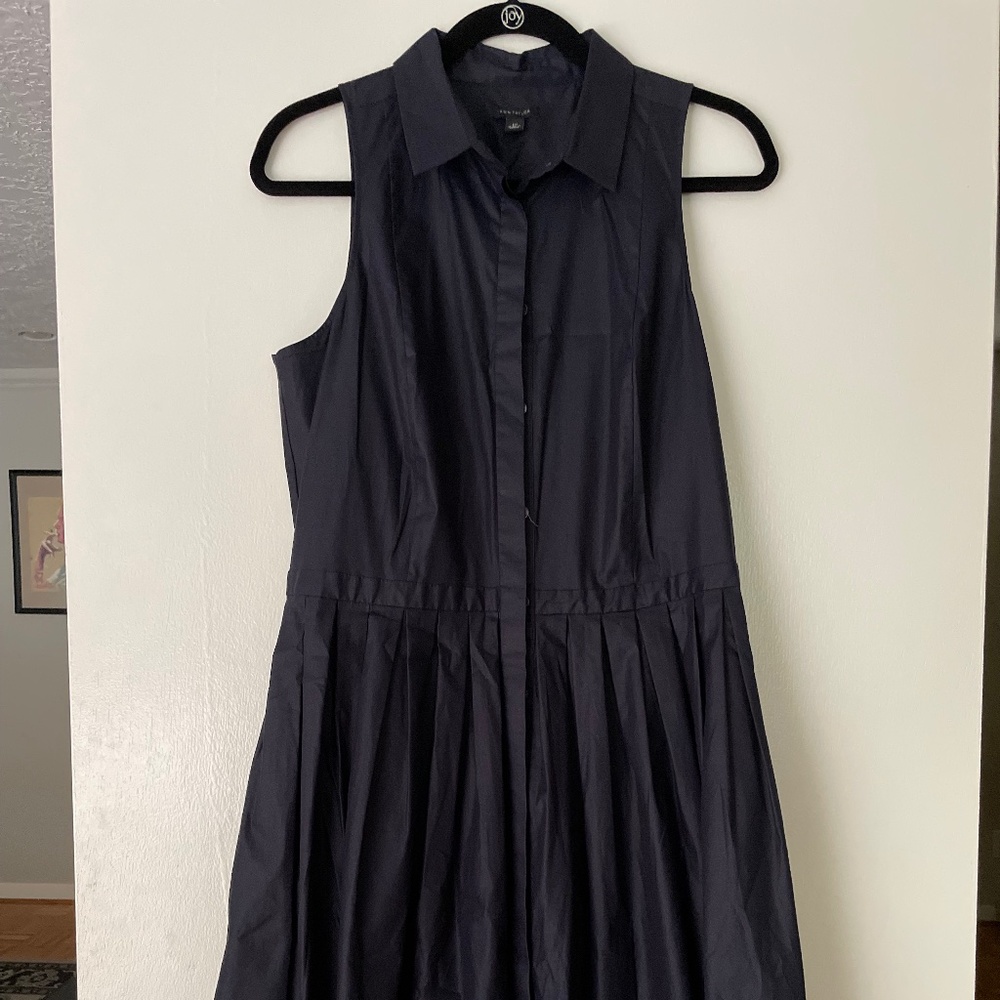 Ann Taylor Navy Pleated Dress Size 12